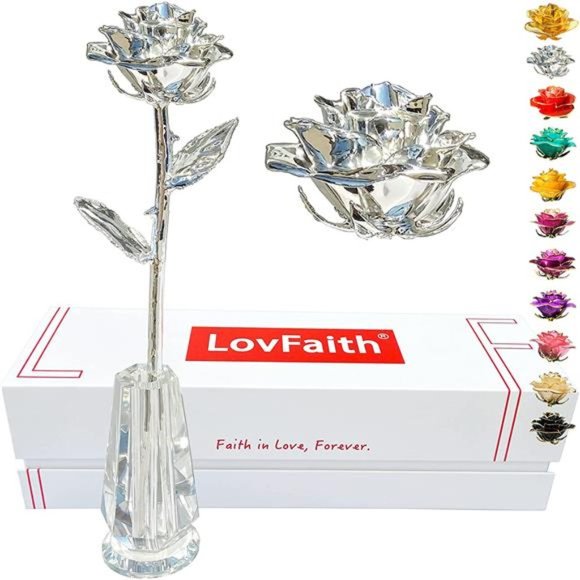 Silver Dipped Real Rose, Best 25th Anniversary Silver Gift for Wife Mom Her
